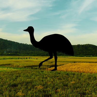 EMU