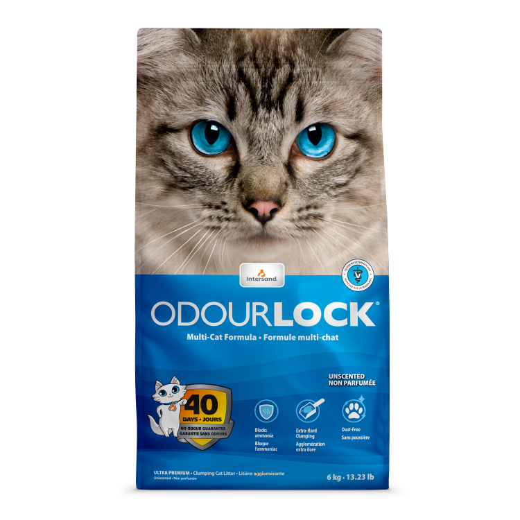 INTERSAND ODOURLOCK CLUMPING UNSCENTED 13.2lb/6kg