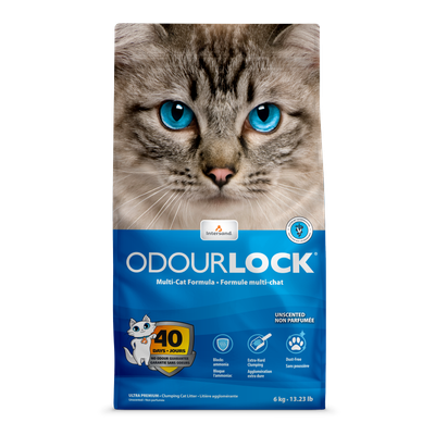 INTERSAND ODOURLOCK CLUMPING UNSCENTED 13.2lb/6kg