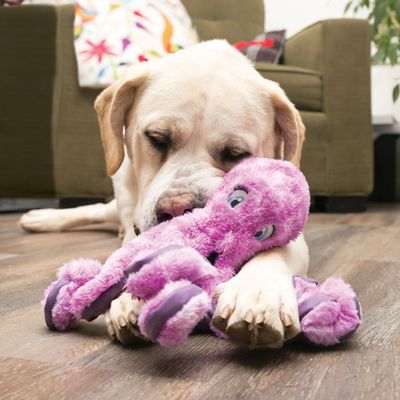 SHOP PLUSH TOYS