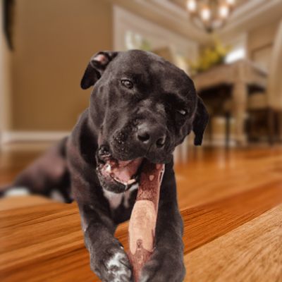 WOODEN CHEWS