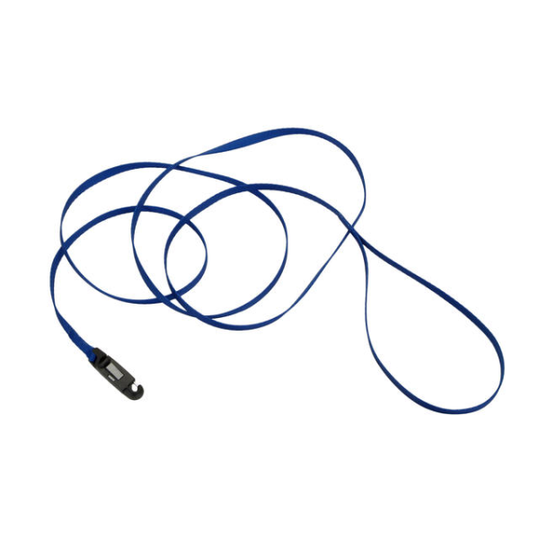 COASTAL LI&#39;L PALS NYLON LEASH WITH E-Z SNAP BLUE 6&#39; x 5/16&quot;