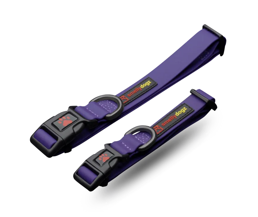 SMELLYDOGZ ADJUSTABLE COMFORT COLLAR PURPLE 1&quot; WIDE LARGE