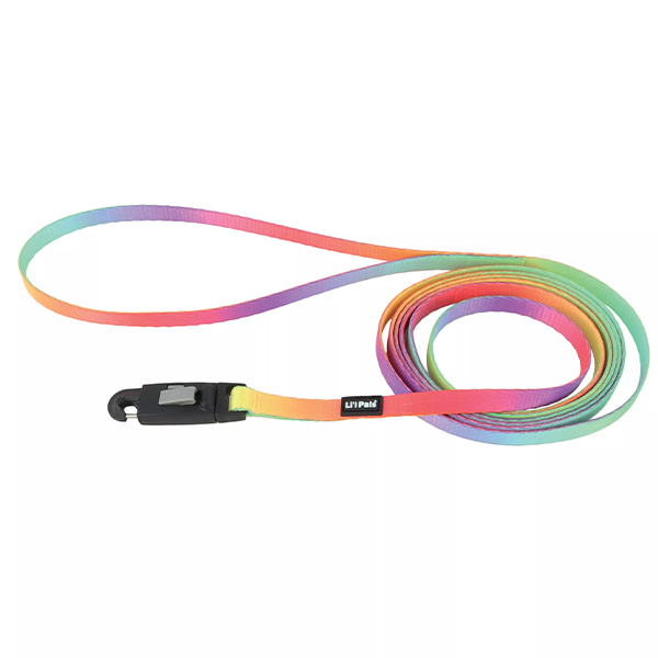 COASTAL LI&#39;L PALS NYLON LEASH WITH E-Z SNAP PASTEL RAINBOW 6&#39; x 5/16&quot;
