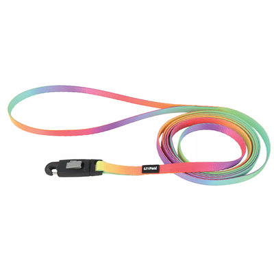 COASTAL LI&#39;L PALS NYLON LEASH WITH E-Z SNAP PASTEL RAINBOW 6&#39; x 5/16&quot;