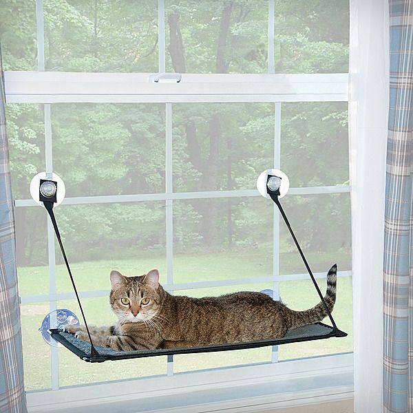 K&amp;H KITTY SILL EZ MOUNT WINDOW 12&quot;x23&quot;