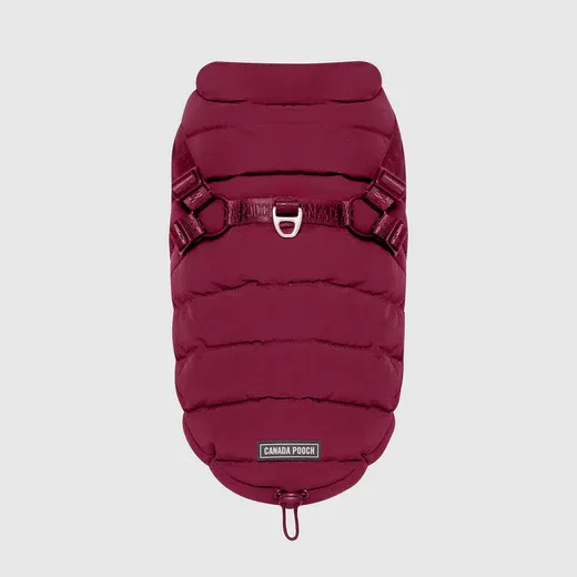 CANADA POOCH THE HARNESS PUFFER PLUM 14