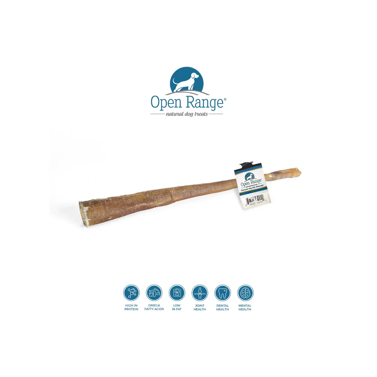 OPEN RANGE WATER BUFFALO BULLY STICK 11&quot;-12&quot;