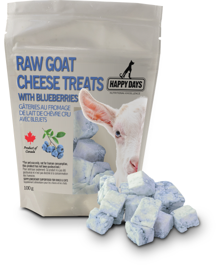 HAPPY DAYS RAW GOAT CHEESE WITH BLUEBERRY 100g