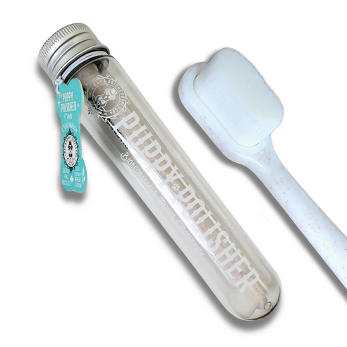 WAG &amp; BRIGHT POLISHER ECO TOOTHBRUSH REGULAR/MEDIUM