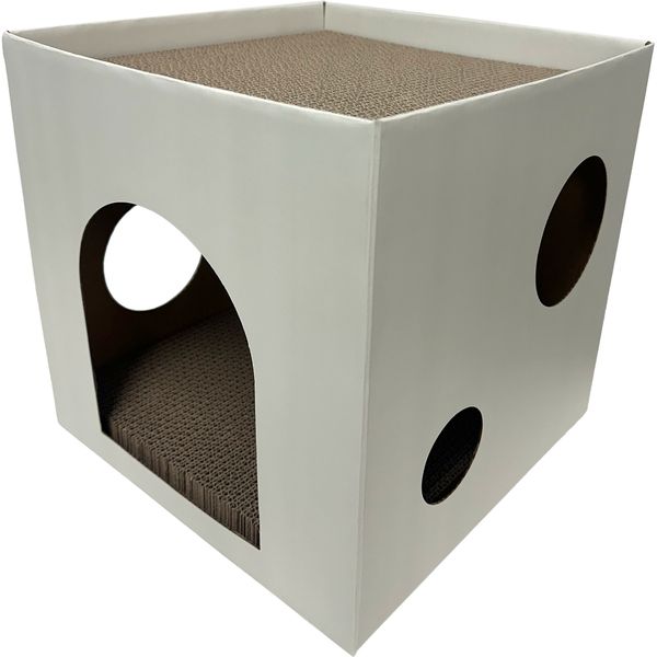 BAD KITTY BOX SHAPE CARDBOARD SCRATCHER