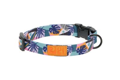 RC PETS ECO CLIP COLLAR MYSTIC MONSTERA 1&quot; WIDE LARGE 15&quot; - 25&quot;