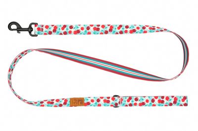 RC PETS ECO DOG LEASH CHERRY PICNIC &amp; ORCHARD STRIPE 3/4&quot;x5&#39;