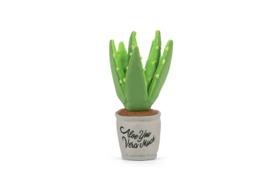 PLAY BLOOMING BUDDIES ALOE-VE YOU PLANT