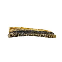 THIS &amp; THAT SNACK STATION NOVA SCOTIA COD SKIN FLATTIES 4&quot;