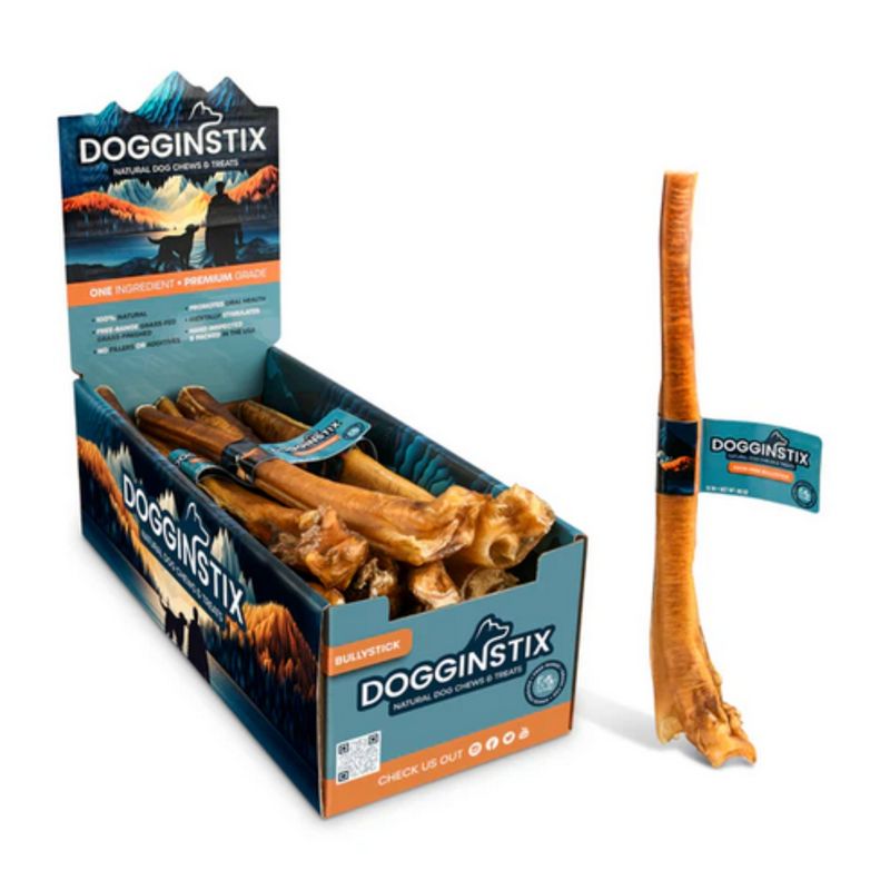 DOGGINSTIX BEEF BULLY STICK JUMBO 12&quot;