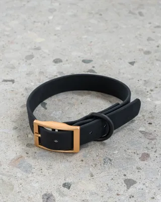 DEXYPAWS DOG WATERPROOF COLLAR BLACK LARGE