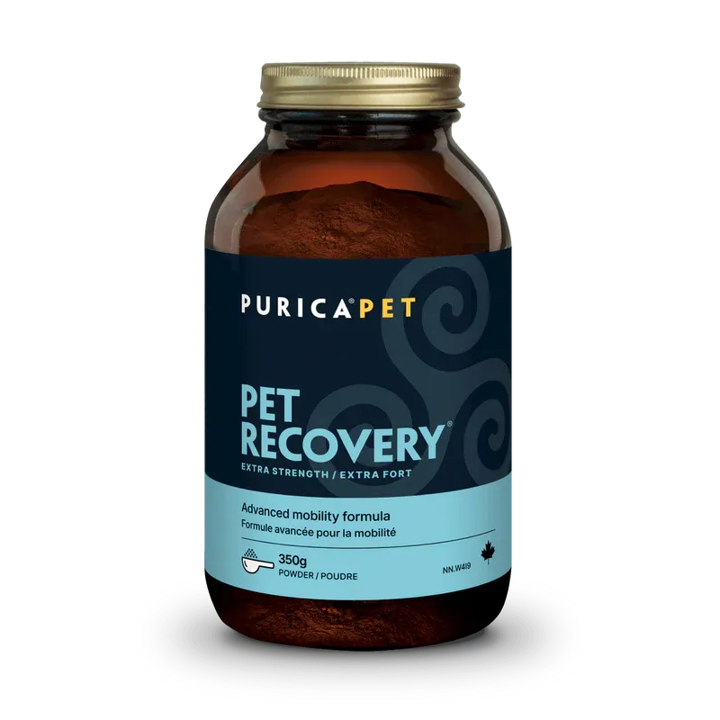 PURICA RECOVERY EXTRA STRENGTH POWDER 350g