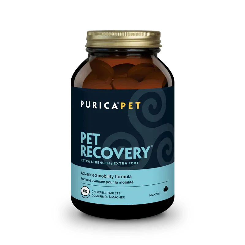 PURICA RECOVERY EXTRA STRENGTH CHEWABLE TABLETS 60ct