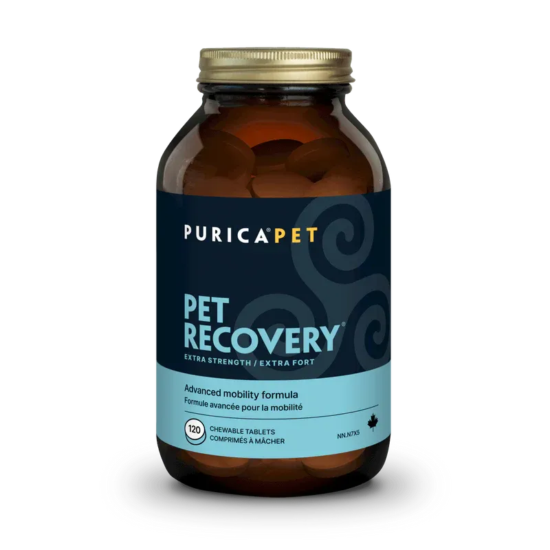 PURICA RECOVERY EXTRA STRENGTH CHEWABLE TABLETS 120ct