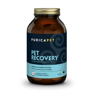 PURICA RECOVERY EXTRA STRENGTH CHEWABLE TABLETS 120ct