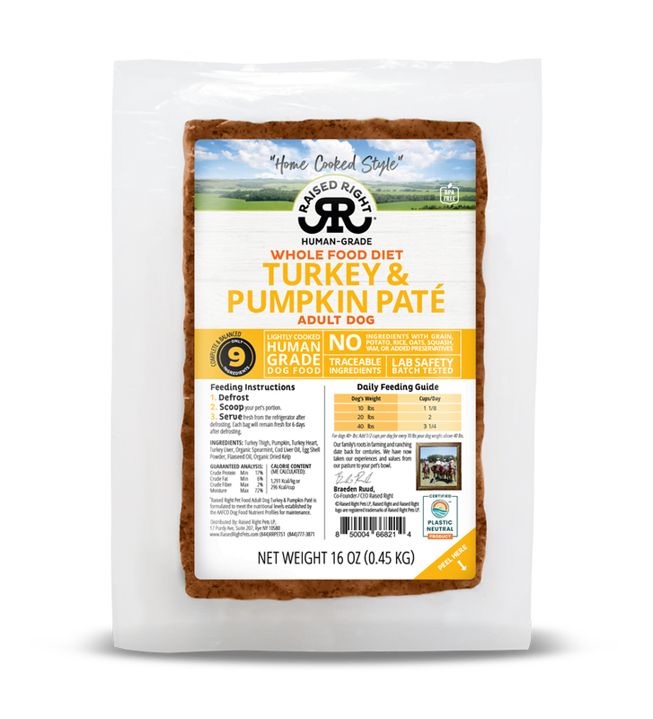 RAISED RIGHT DOG TURKEY &amp; PUMPKIN PATÉ 16oz