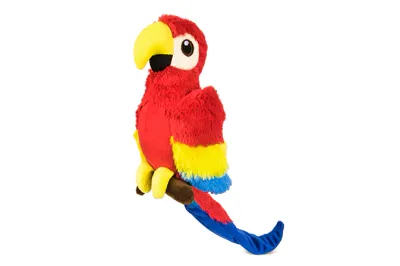 PLAY FETCHING FLOCK PAULA THE PARROT