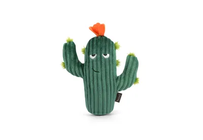 PLAY BLOOMING BUDDIES PRICKLY PUP CACTUS