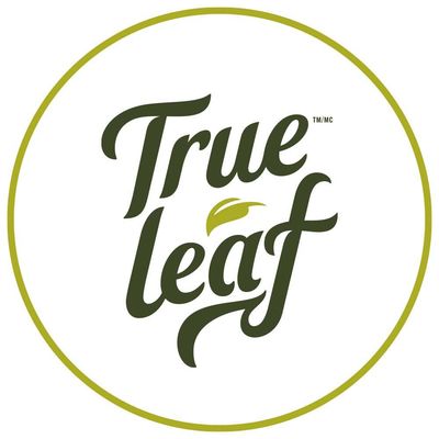 TRUE LEAF