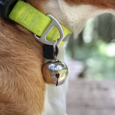 BEAR BELLS