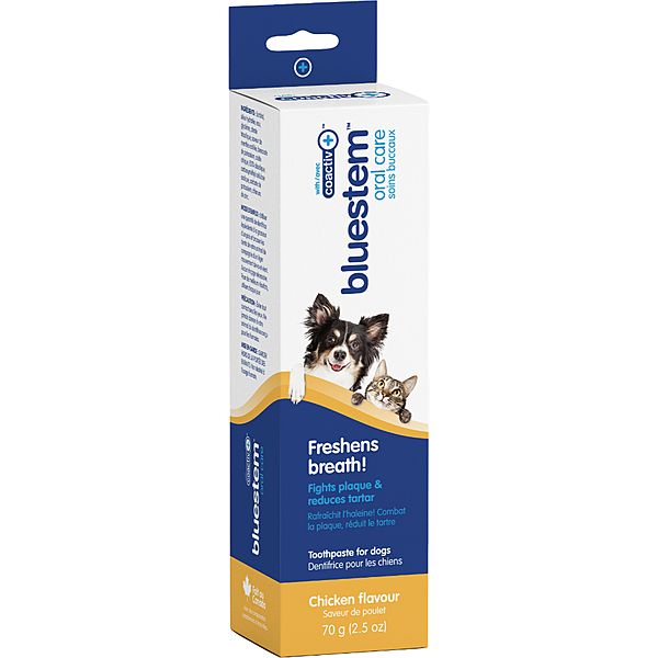 BLUESTEM TOOTHPASTE FOR DOGS &amp; CATS CHICKEN FLAVOUR 70g