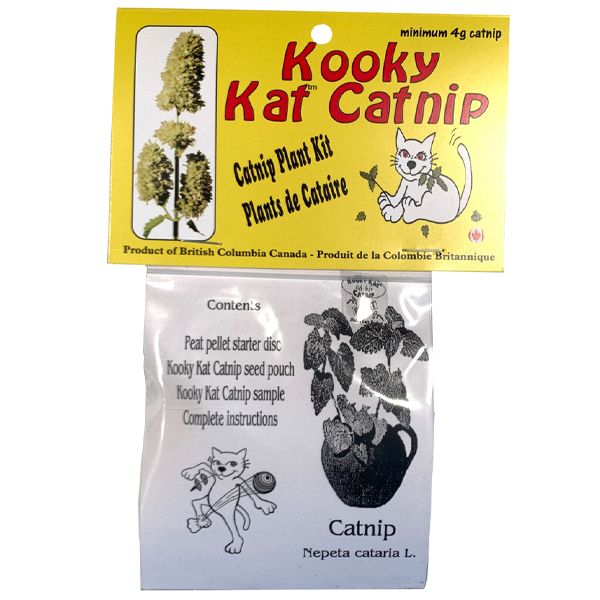 KOOKY KAT GROW YOUR OWN CATNIP KIT