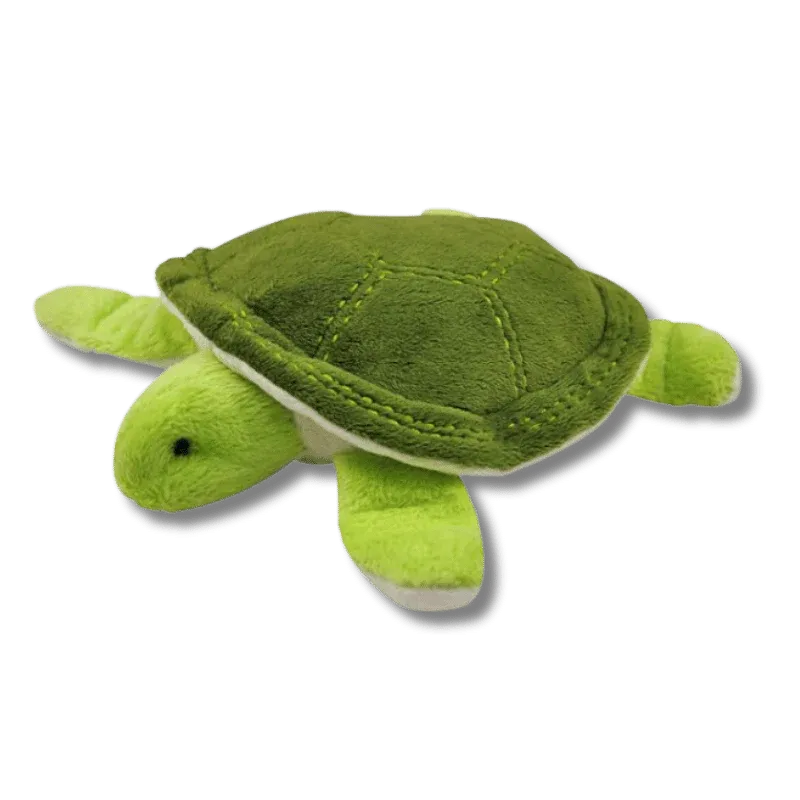 PLAY UNDER THE SEA SEA TURTLE