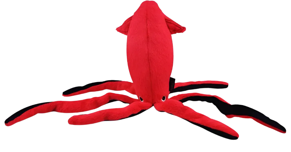 PLAY UNDER THE SEA GIANT SQUID
