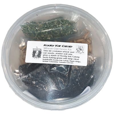 KOOKY KAT GROW YOUR OWN WHEAT-OAT GRASS KIT