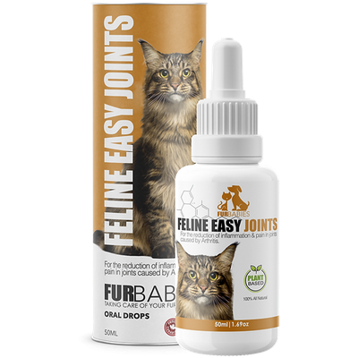 FURBABIES FELINE EASY JOINTS ORAL DROPS 50ml
