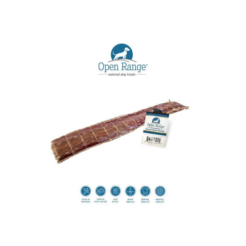 OPEN RANGE FLAT BEEF CHOMPER 11&quot;-12&quot;