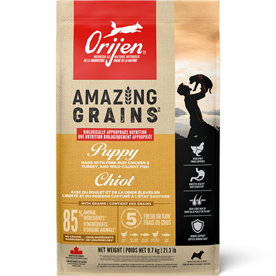 ORIJEN DOG AMAZING GRAINS PUPPY 21.3lb/9.7kg