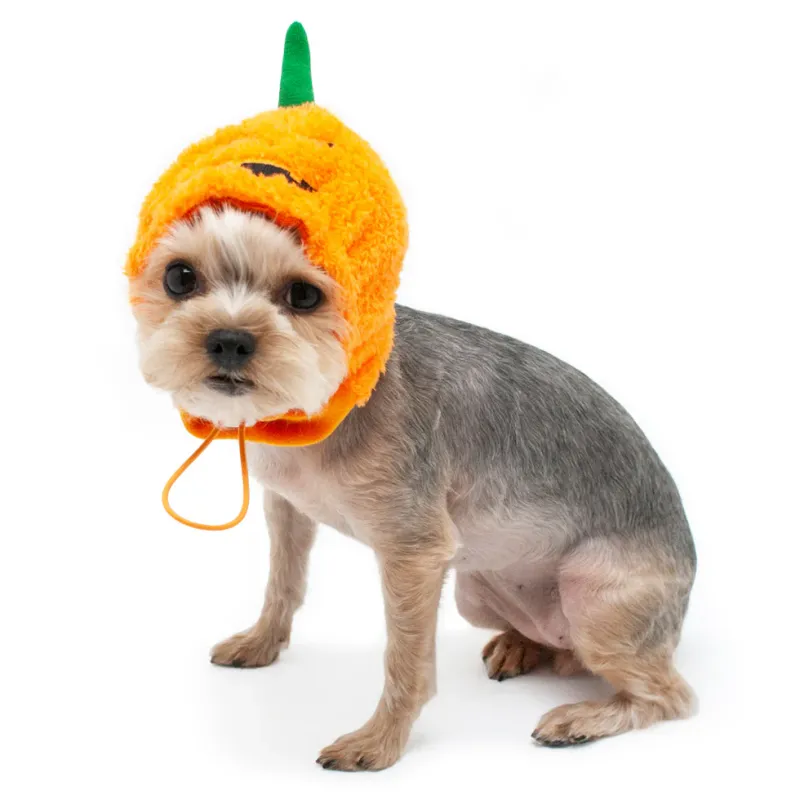 DOGO PET JACK O HAT LARGE