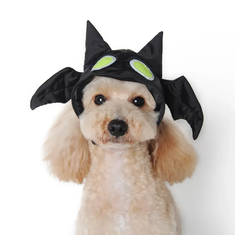 DOGO PET BAT HAT X-LARGE