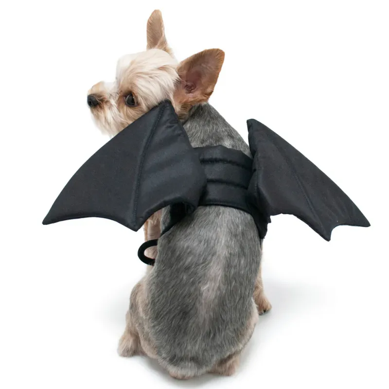 DOGO PET BAT WINGS LARGE