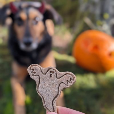 TREAT OR TREAT