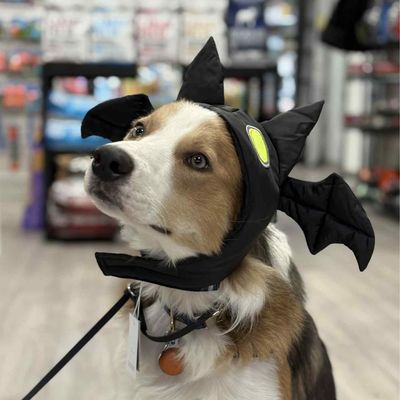 BAT HAT