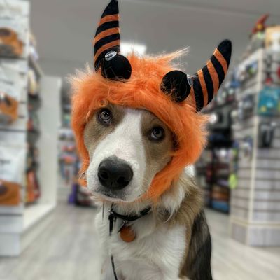 FURRY MONSTER HAT