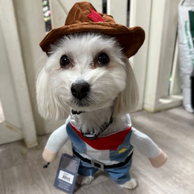 COWBOY COSTUME