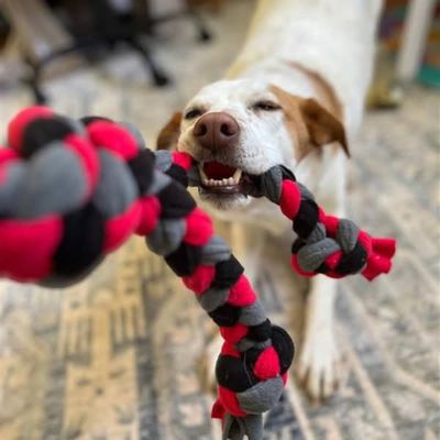 DOG TOYS
