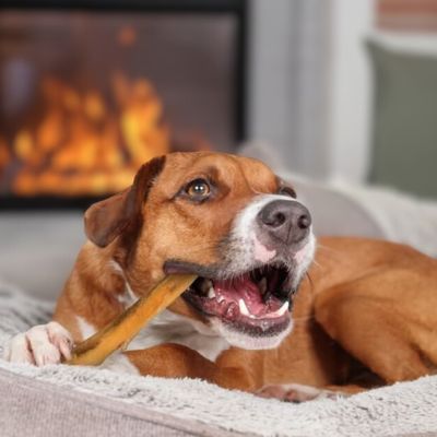 DOG CHEWS