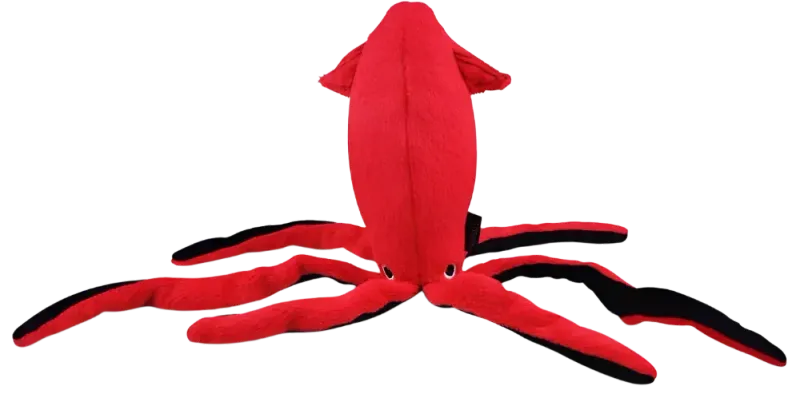 Play Under The Sea Giant Squid