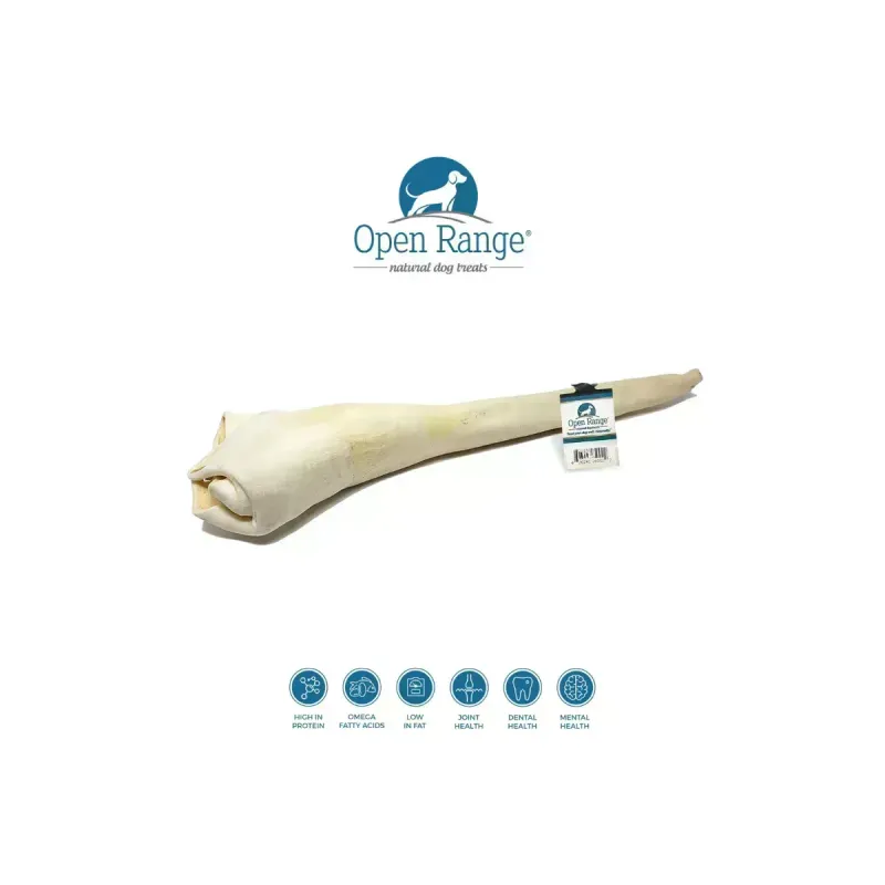 Open Range Full Length Beef Bull Tail