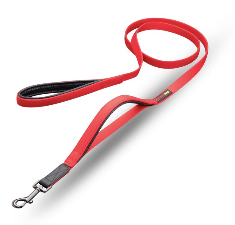 Smellydogz Double Handle Lead Red 3/4"X6'